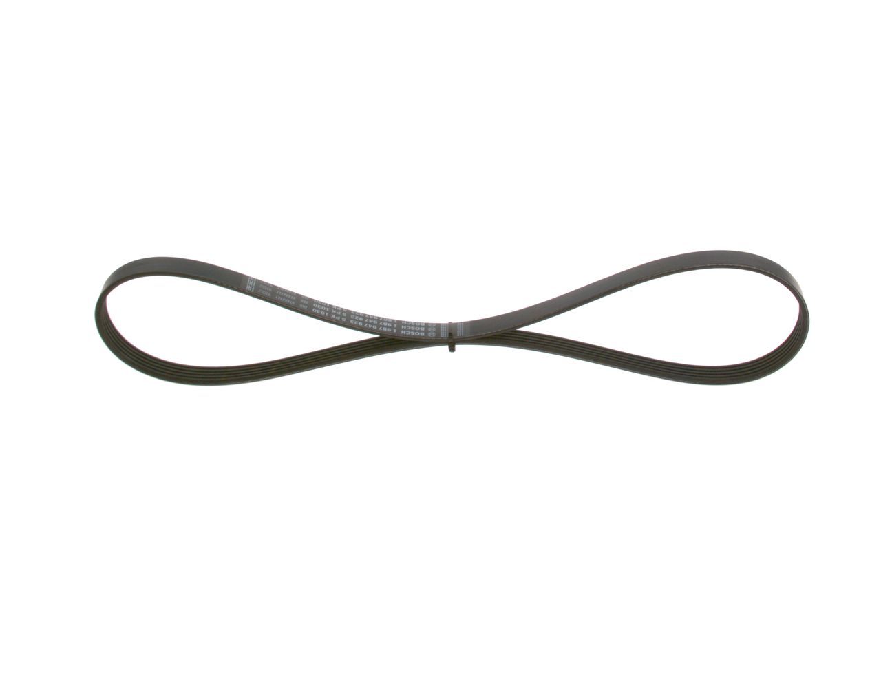V-ribbed Belt