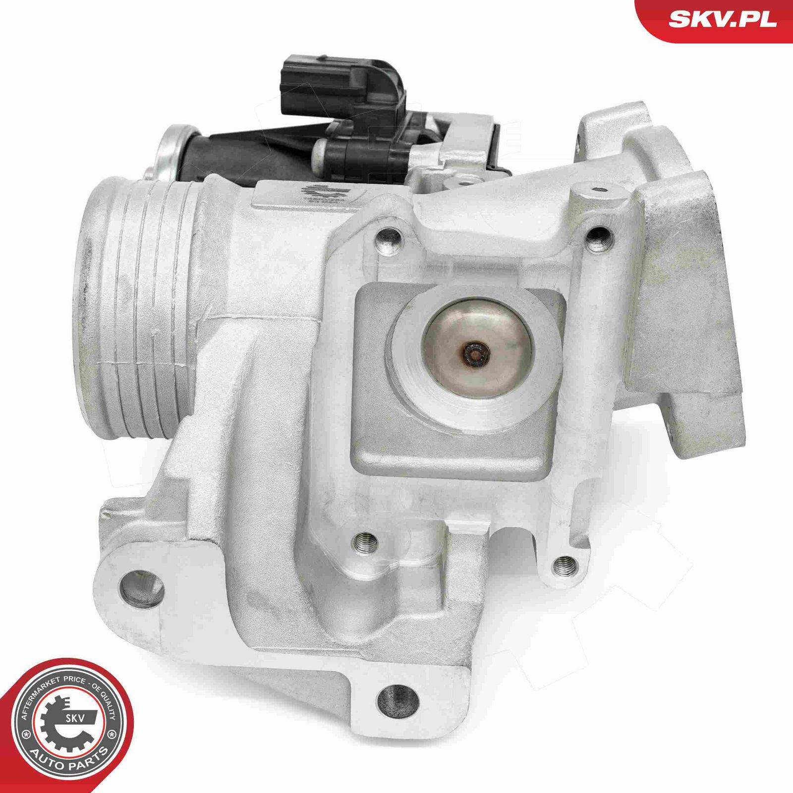 EGR Valve-6