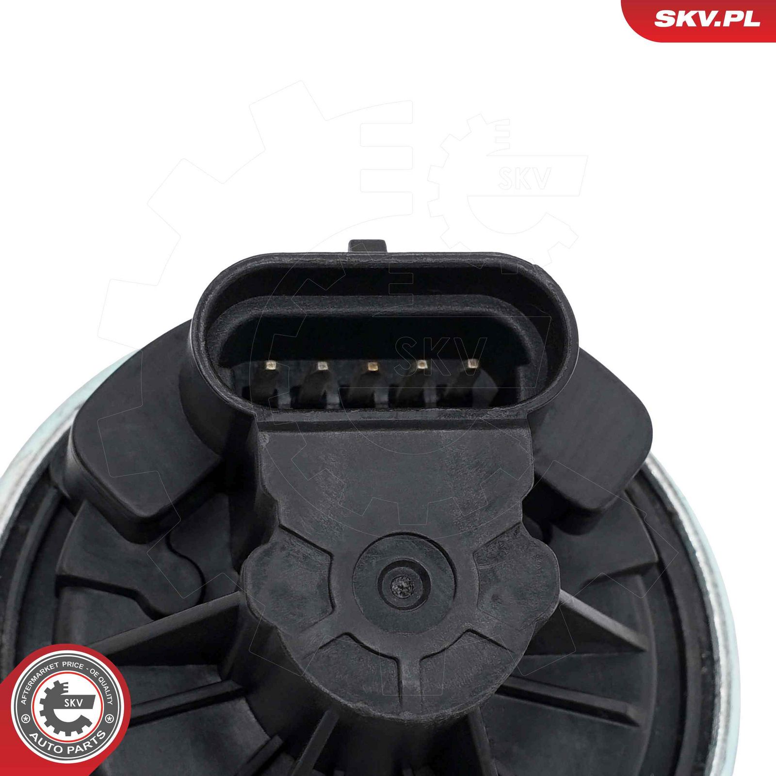 EGR Valve
