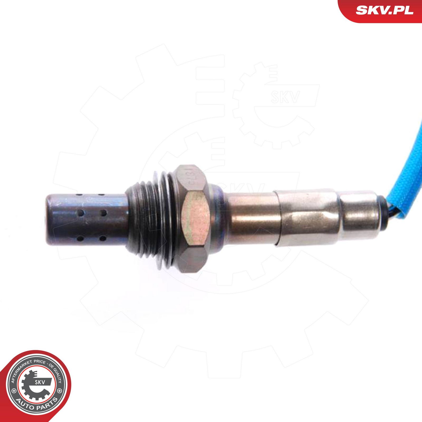 Oxygen Sensor-1