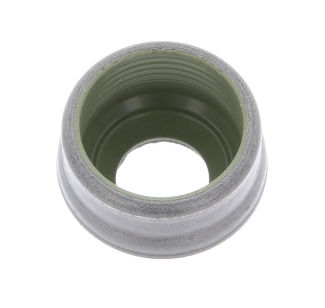 Seal Ring, valve stem-2