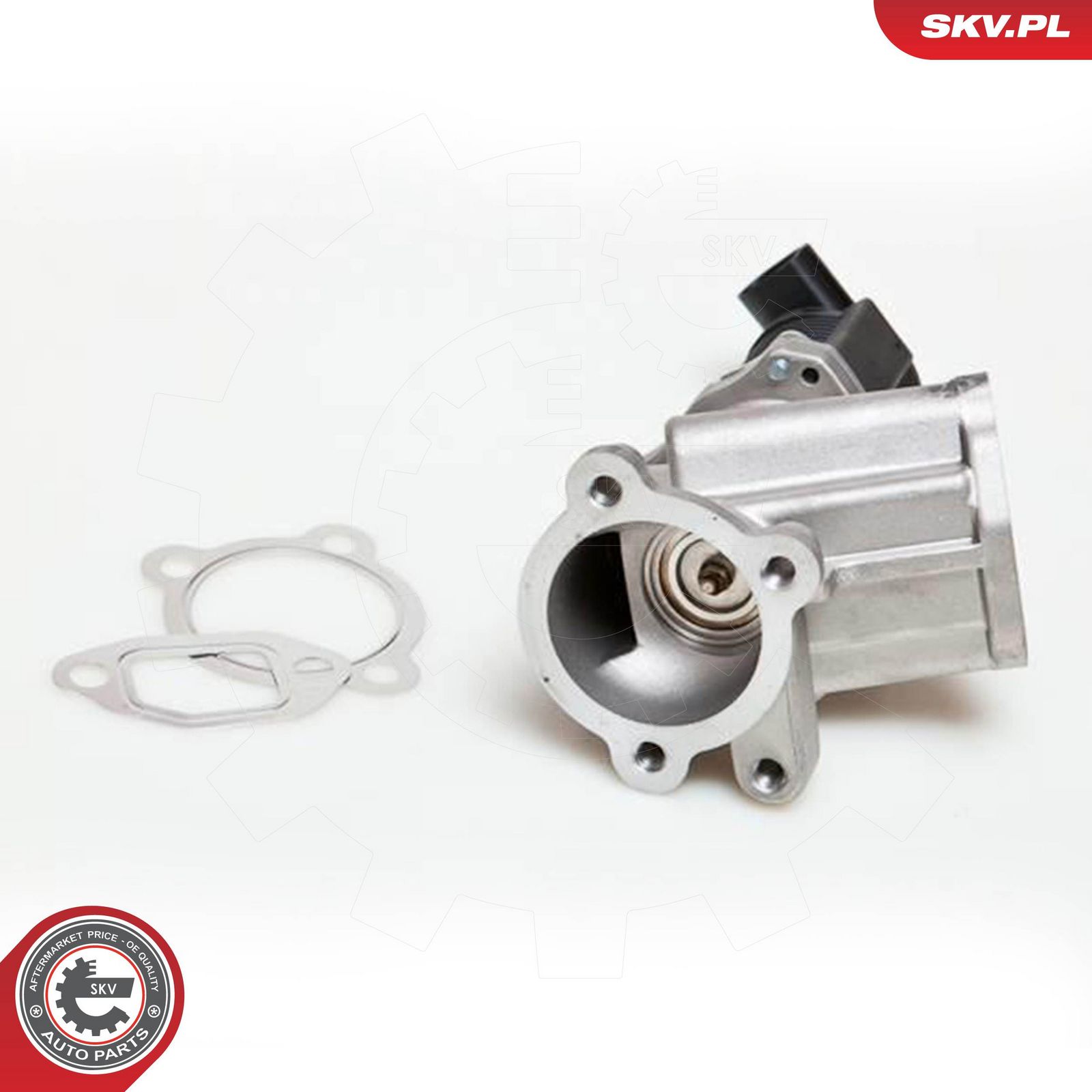 ESEN SKV 14SKV039 Egr valve