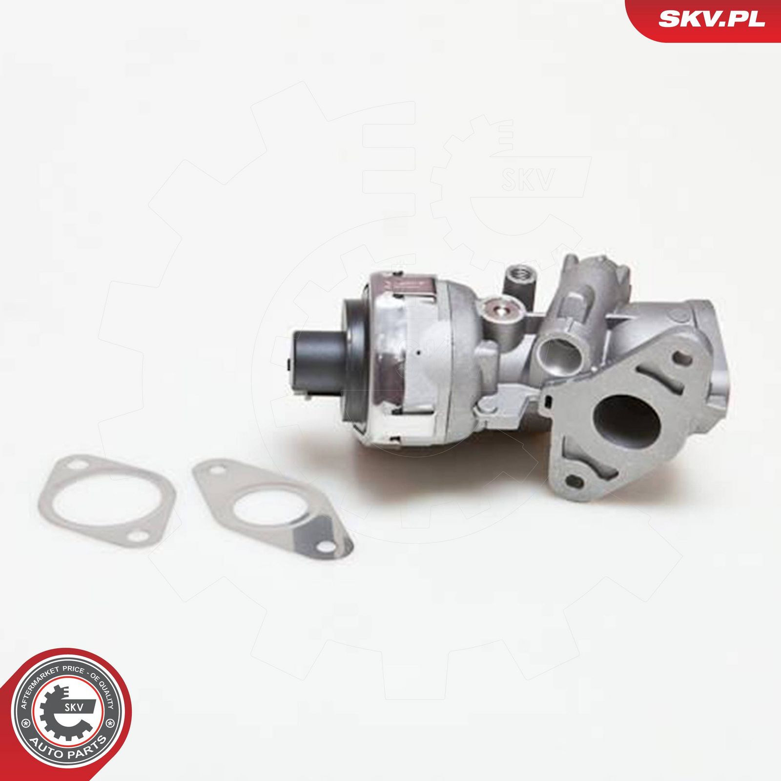EGR Valve