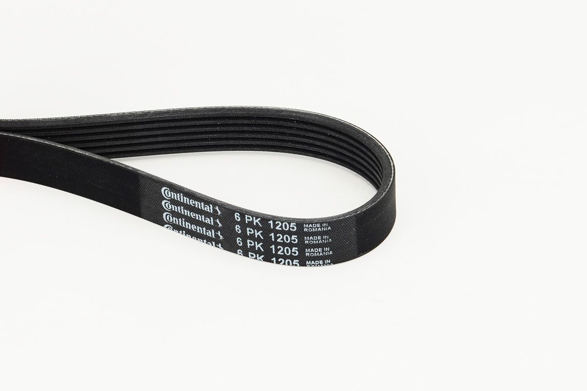 CONTINENTAL CTAM 6PK1205 V-ribbed belt