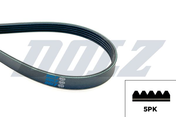 DOLZ 05KD5PK705E V-ribbed belt
