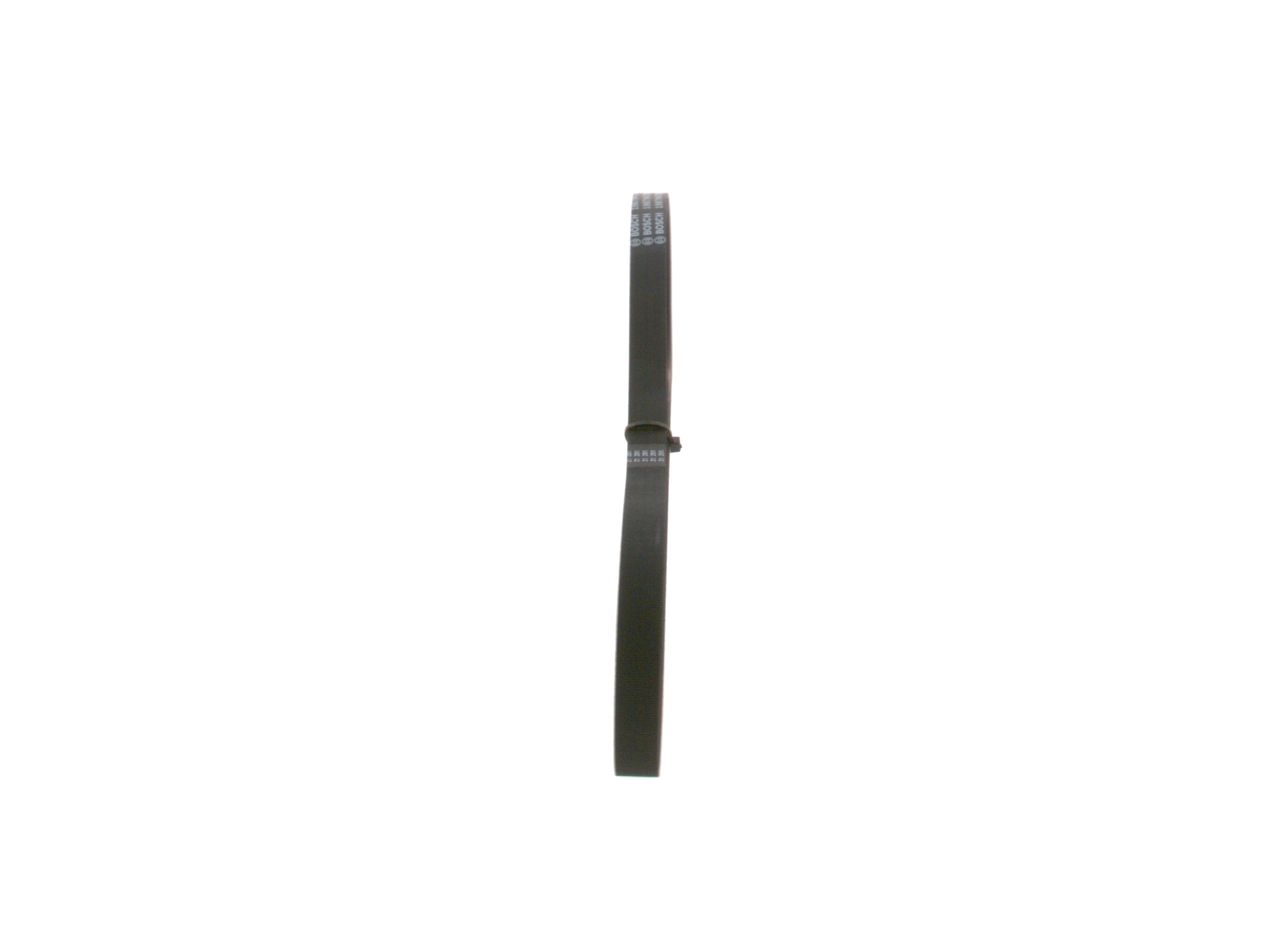 V-ribbed Belt-1