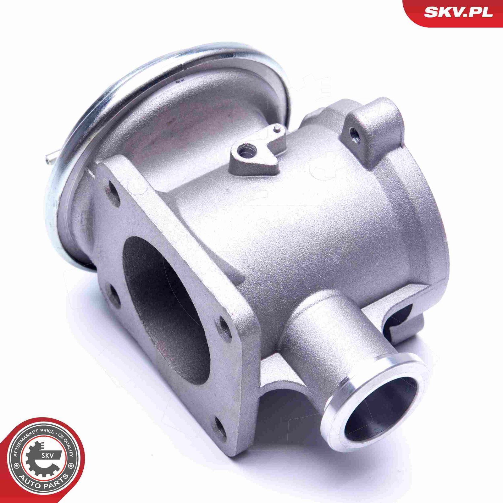 EGR Valve