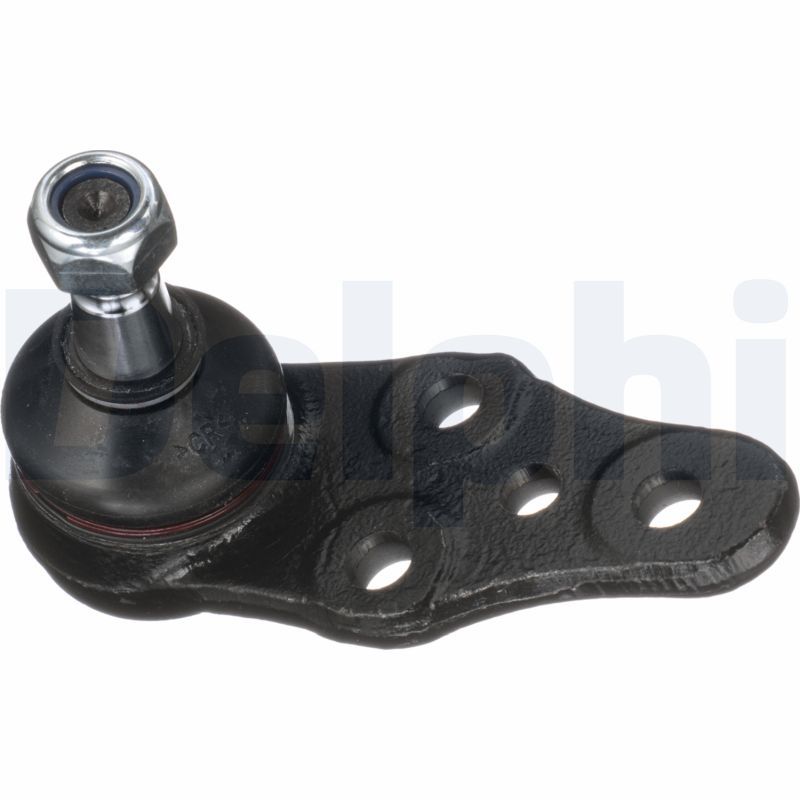 Šarnyras / girgždukas-1