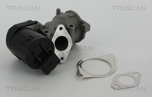 TRISCAN 8813 10001 Egr valve