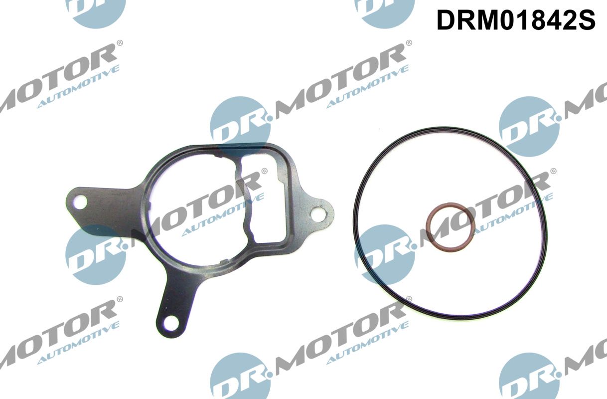 DR.MOTOR AUTOMOTIVE DRM01842S Seal set, vacuum pump