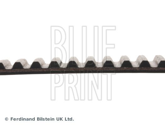 Timing Belt-1