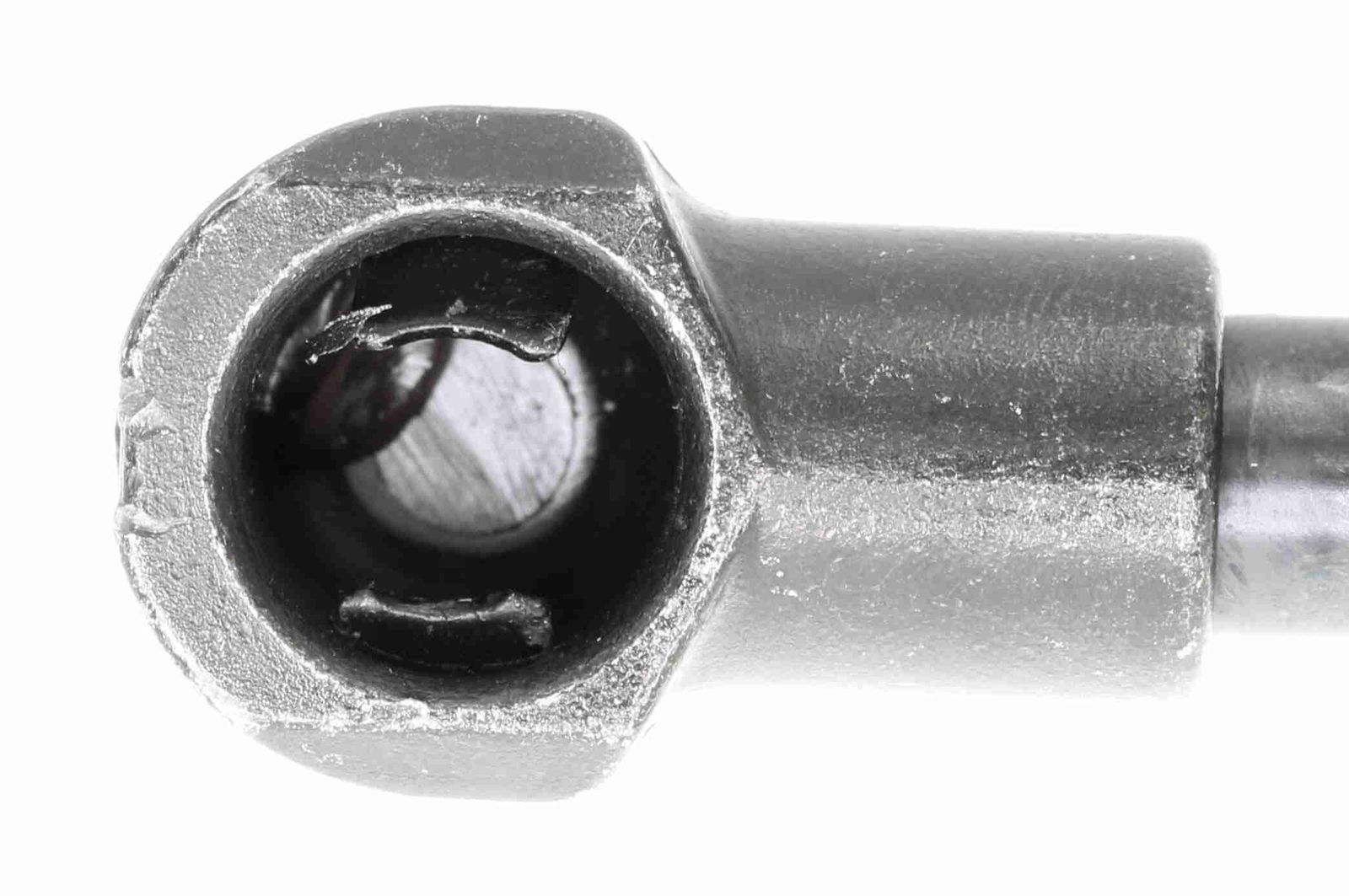 Gas Spring, bonnet-1