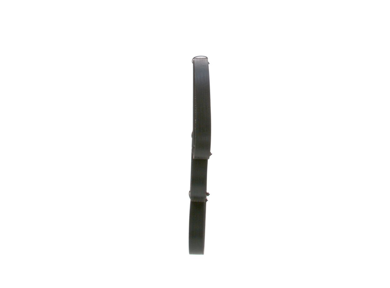 V-ribbed Belt-1
