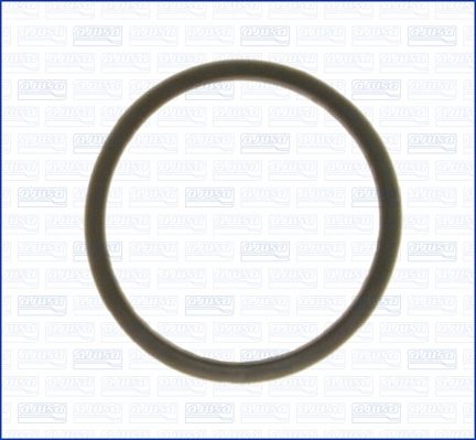 Seal, thermostat-1