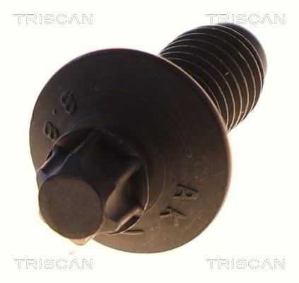 Fastening Bolt, control arm