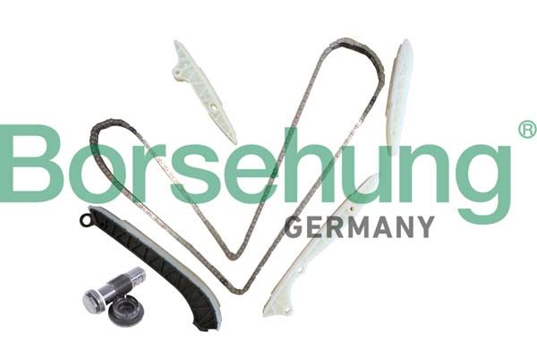 BORSEHUNG B10238 Timing chain kit