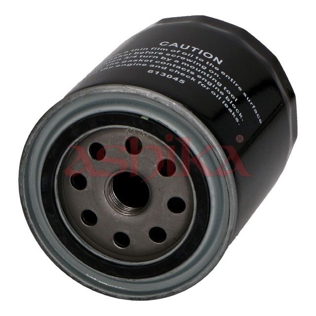 ASHIKA 10-02-204 Oil filter