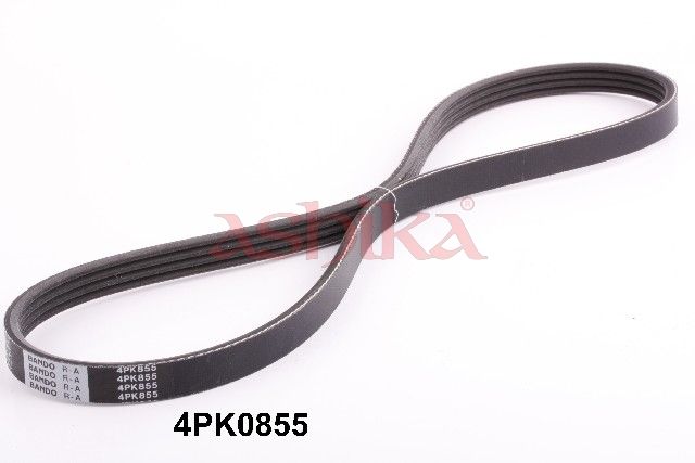 ASHIKA 112-4PK855 V-ribbed belt