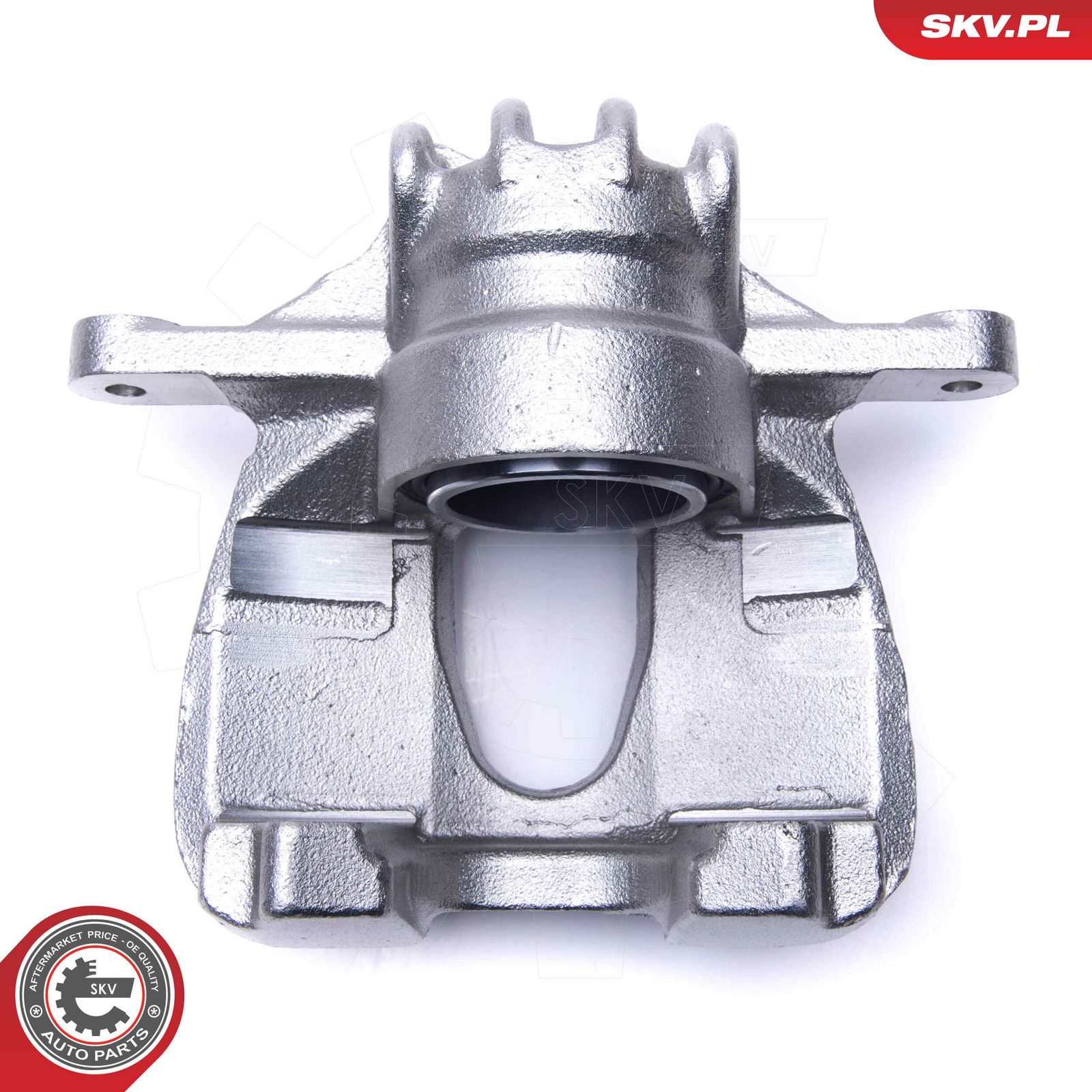 Brake Caliper-2