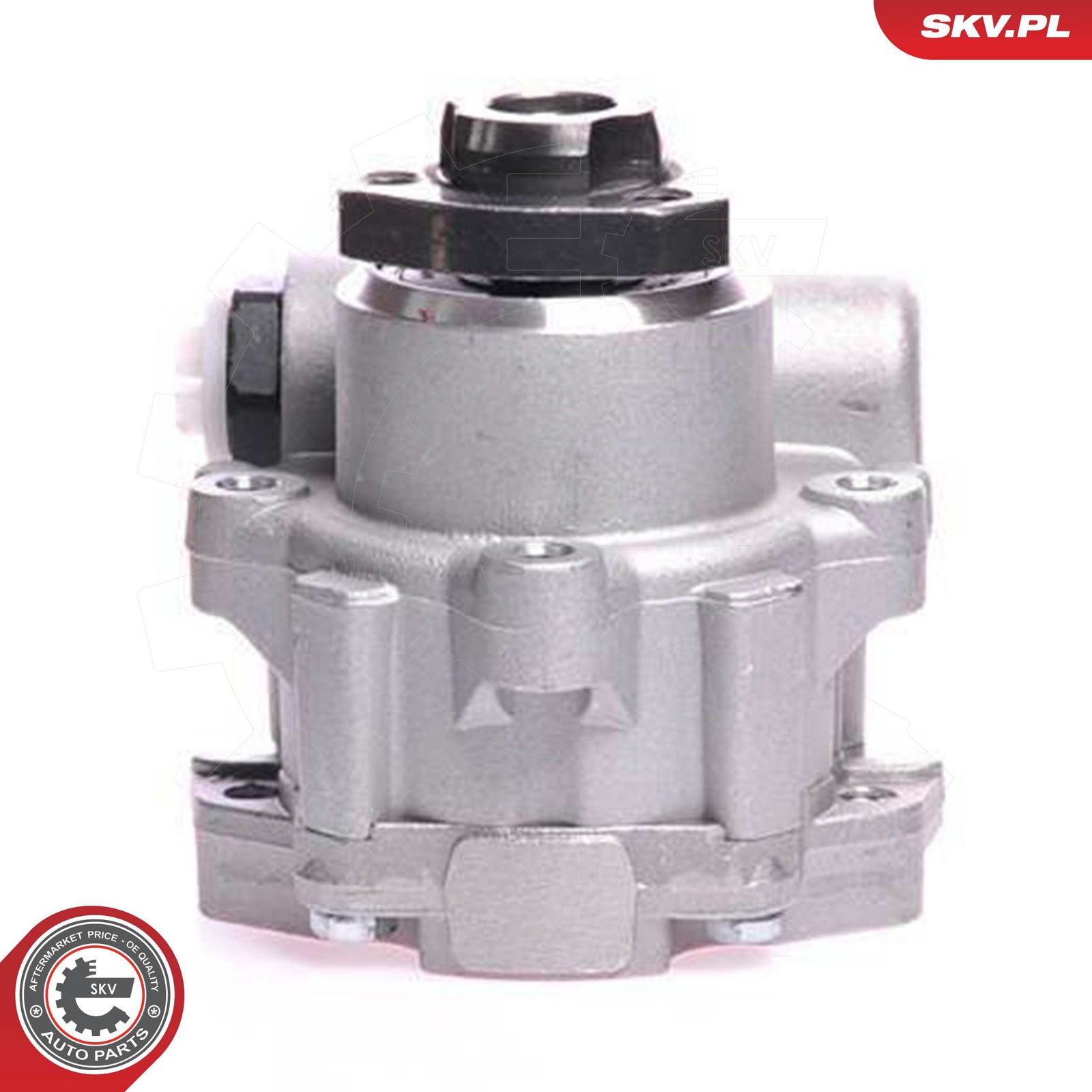 Hydraulic Pump, steering-2