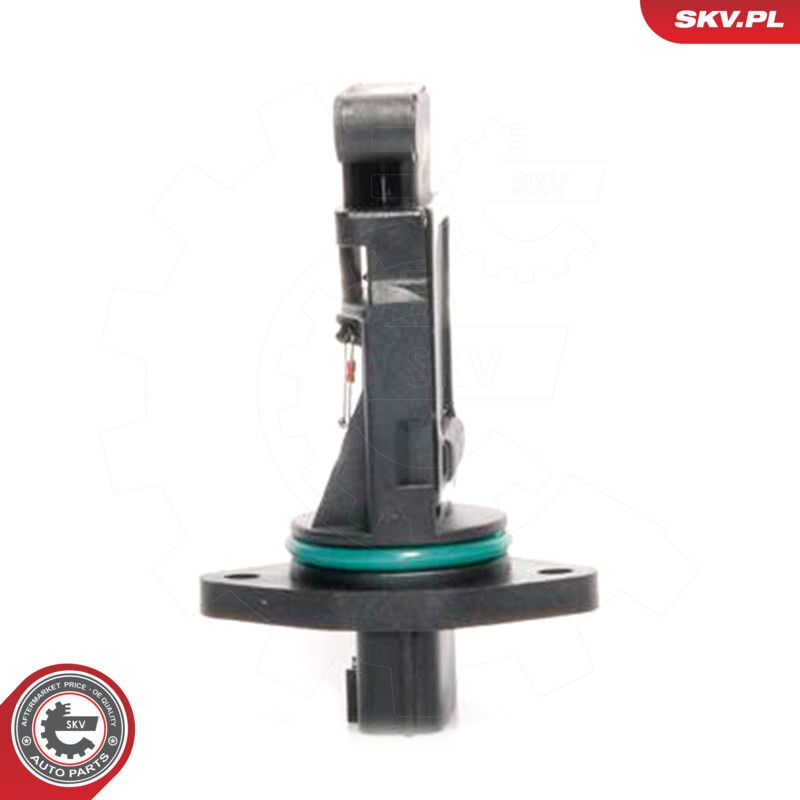 Mass Air Flow Sensor-1