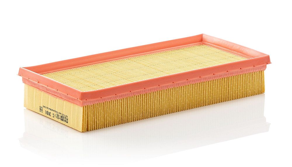 MANN-FILTER C 3091 Air filter