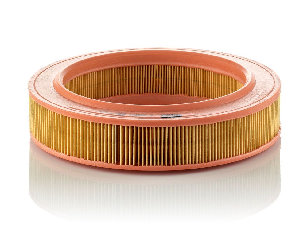 MANN-FILTER C 2552/1 Air filter