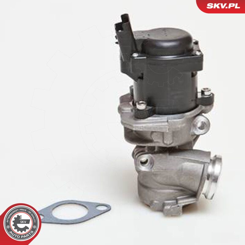 EGR Valve-2