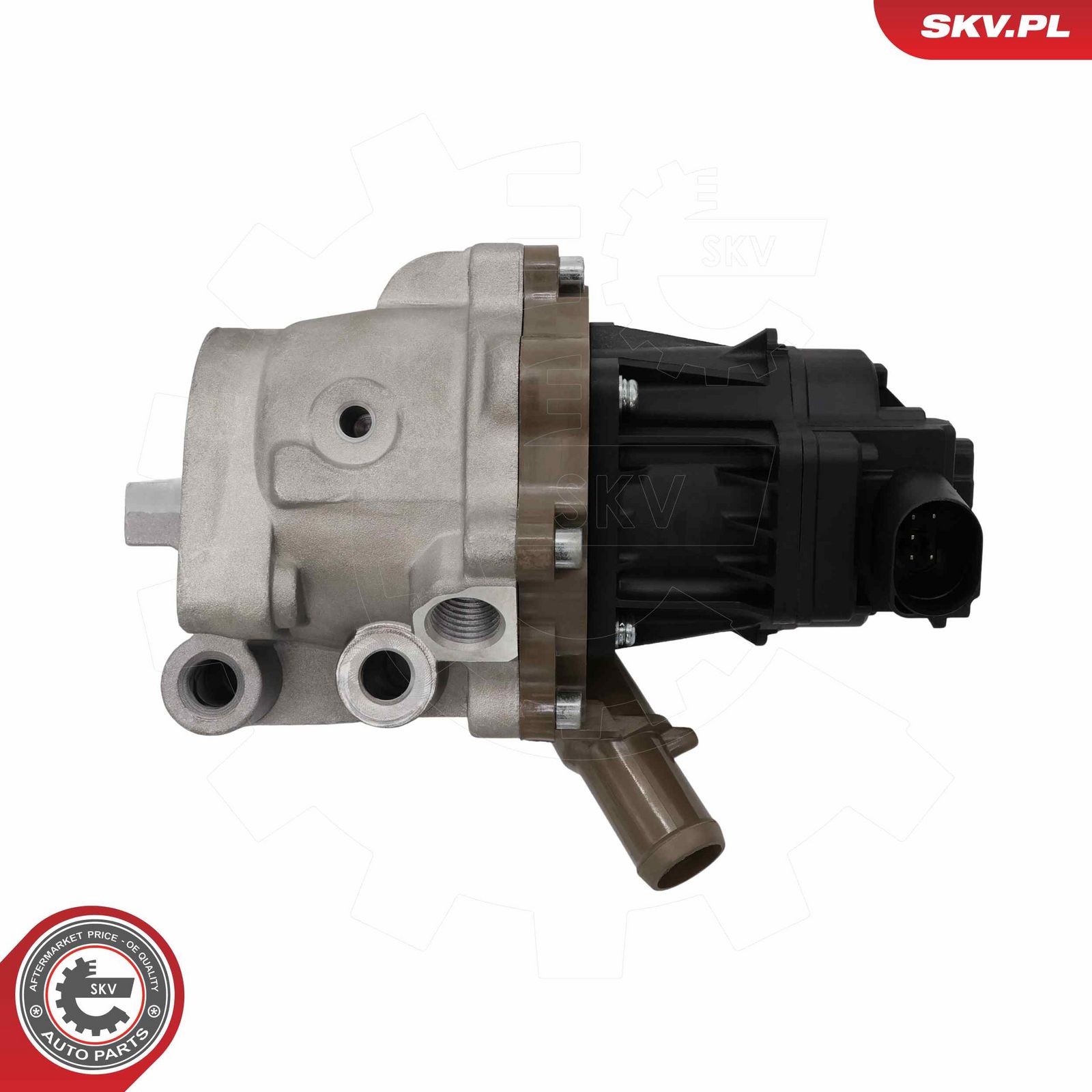 EGR Valve-1