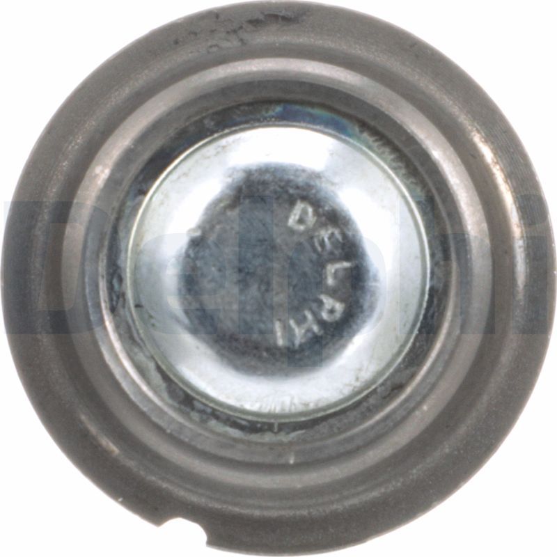 Šarnyras / girgždukas-4