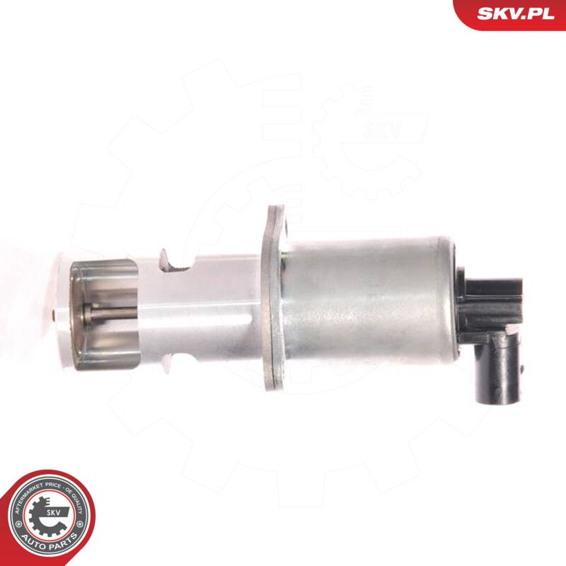 ESEN SKV 14SKV010 Egr valve