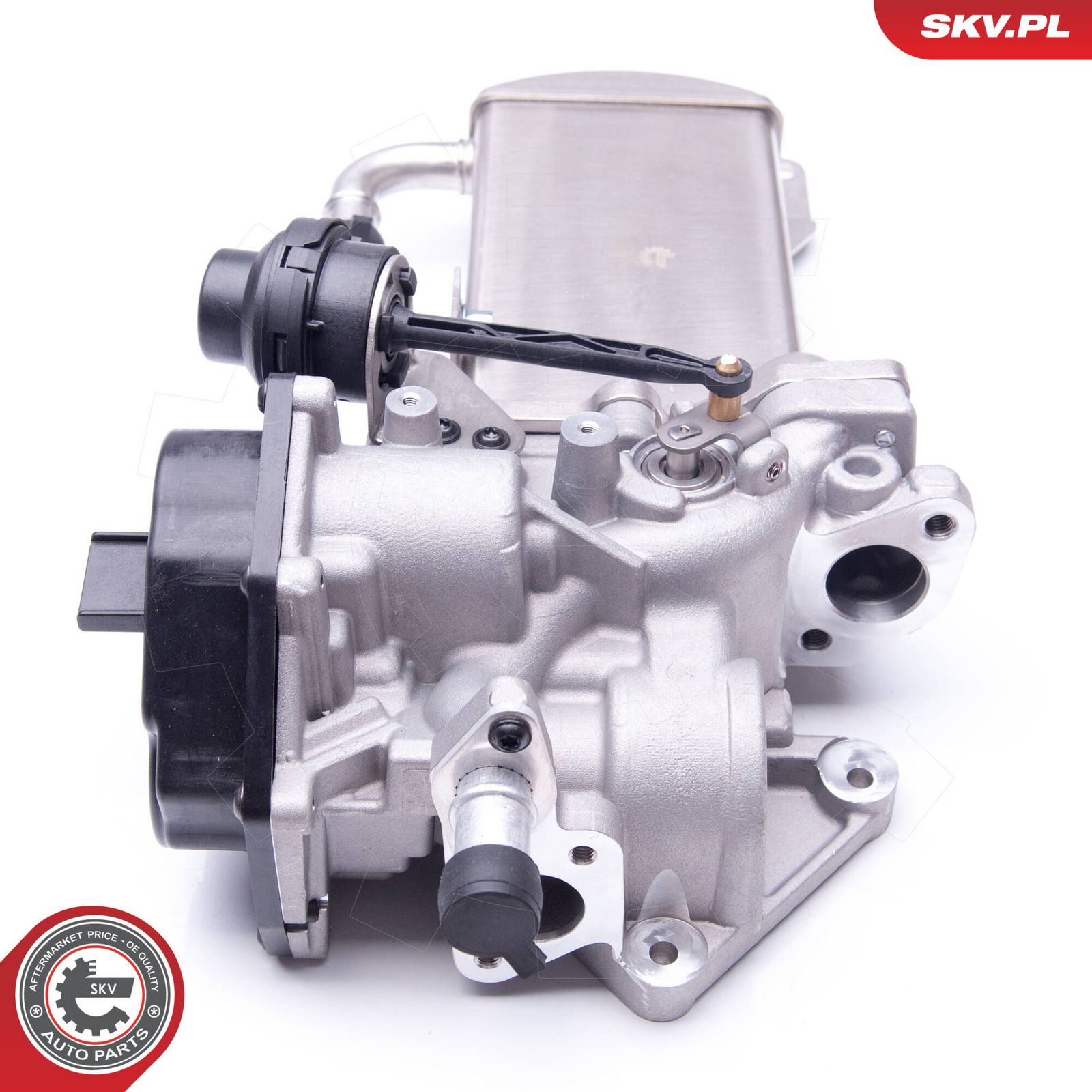 EGR Valve-1