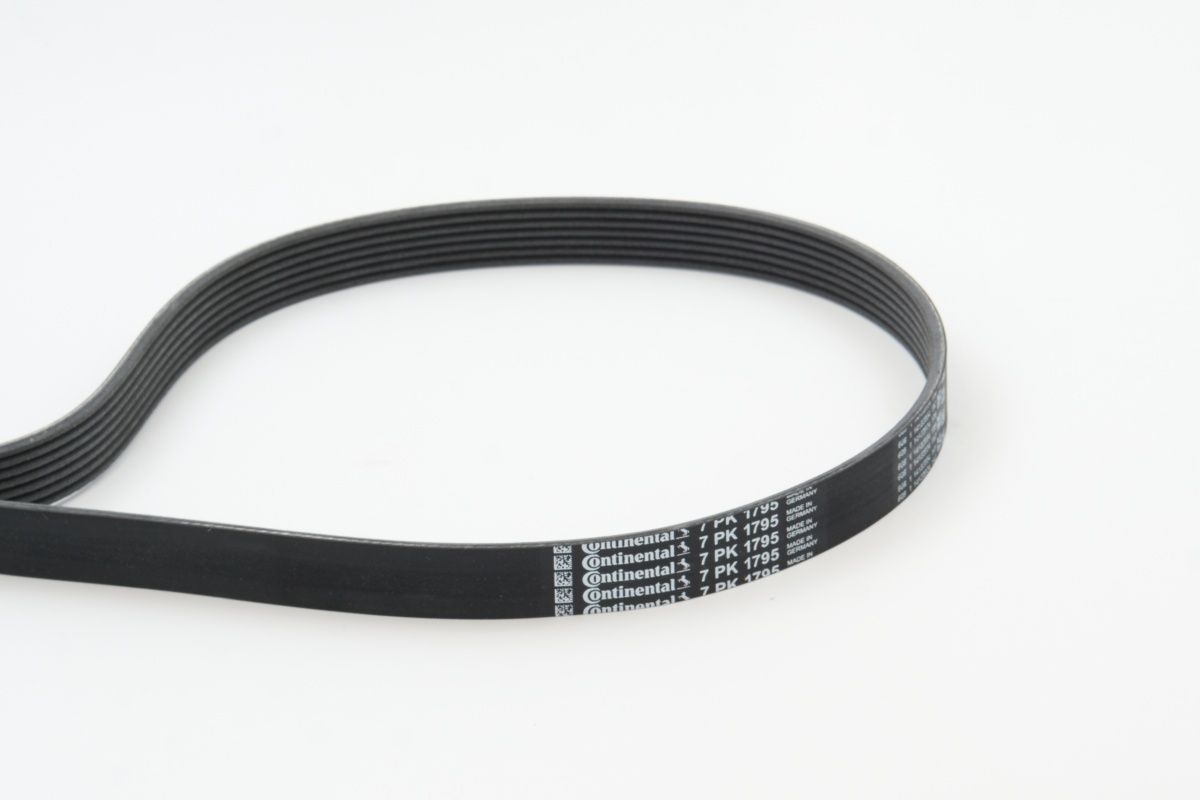 CONTINENTAL CTAM 7PK1795 V-ribbed belt