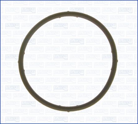 Gasket, coolant flange-1
