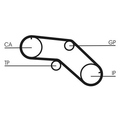 Timing Belt-1