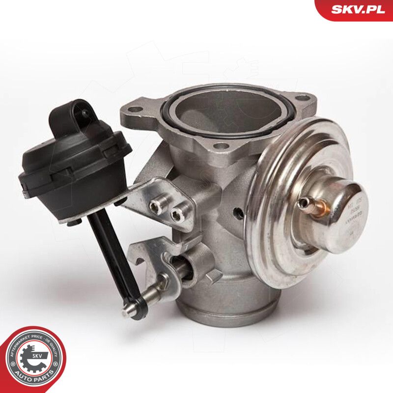 ESEN SKV 14SKV020 Egr valve