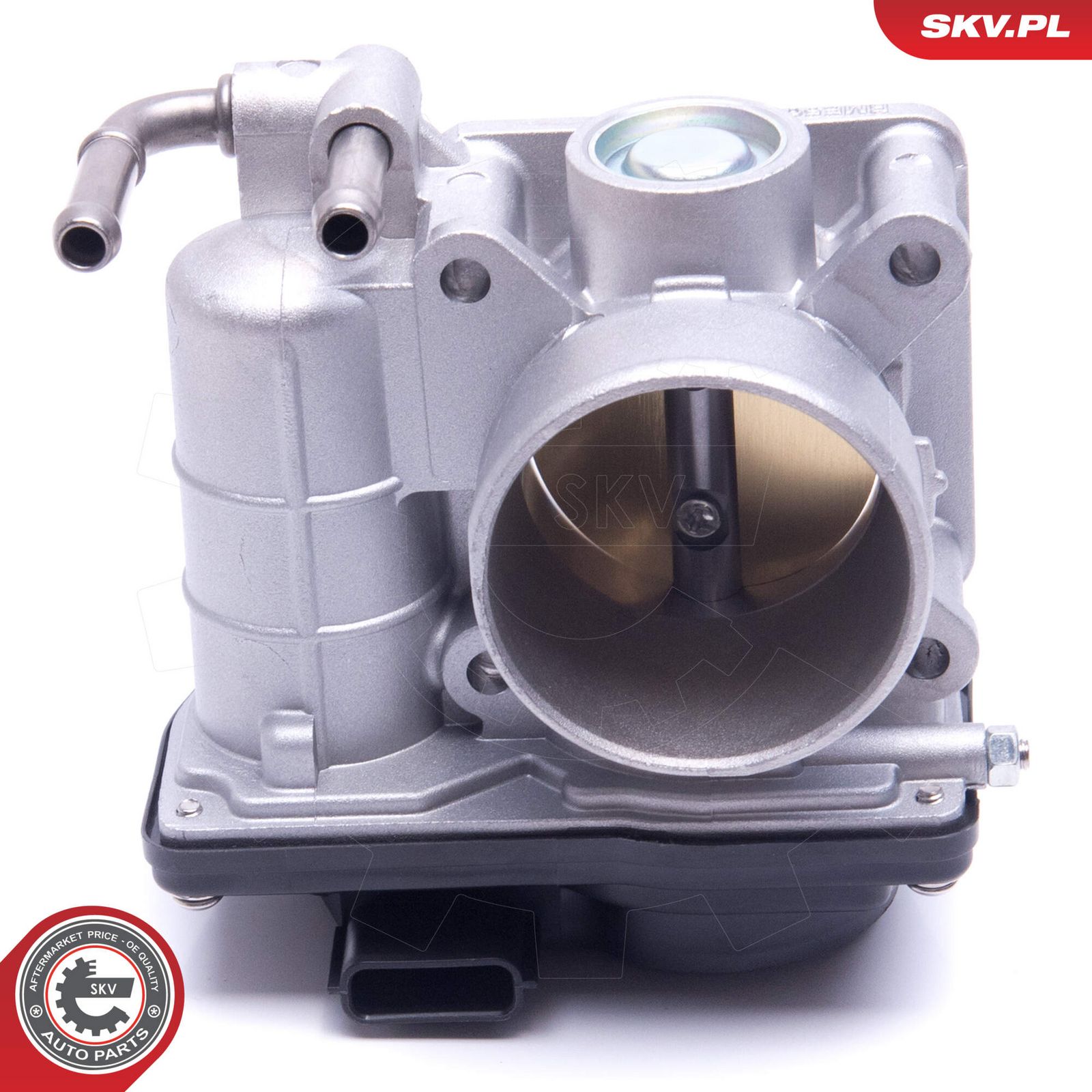 Throttle Body-1