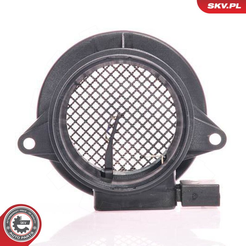 Mass Air Flow Sensor-1