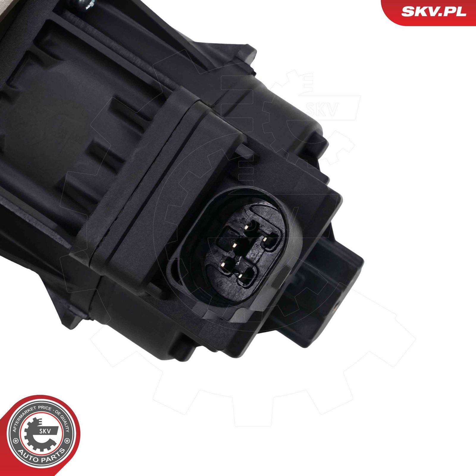 EGR Valve
