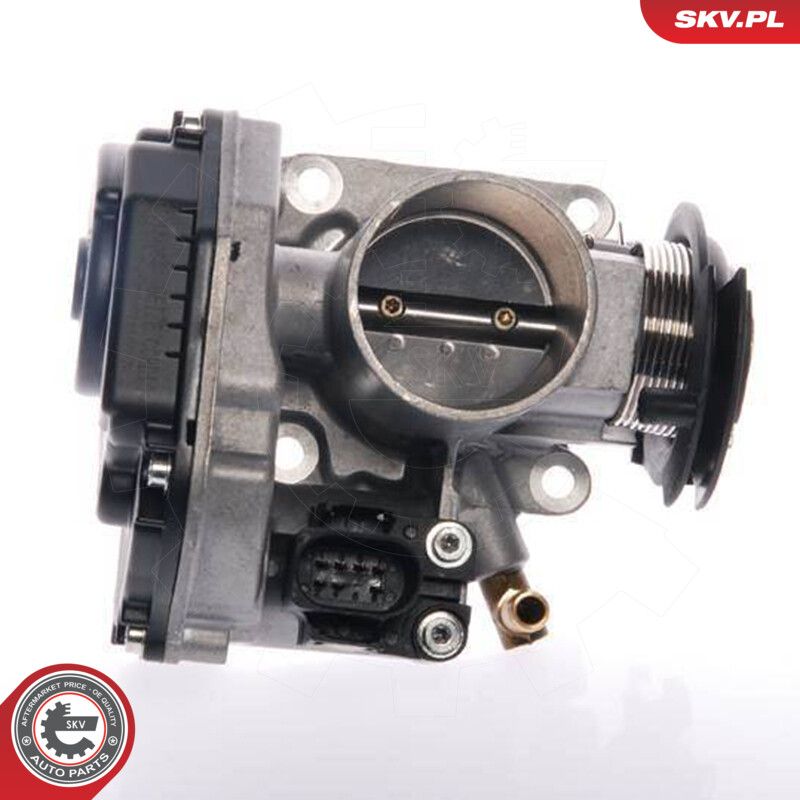 Throttle Body-2