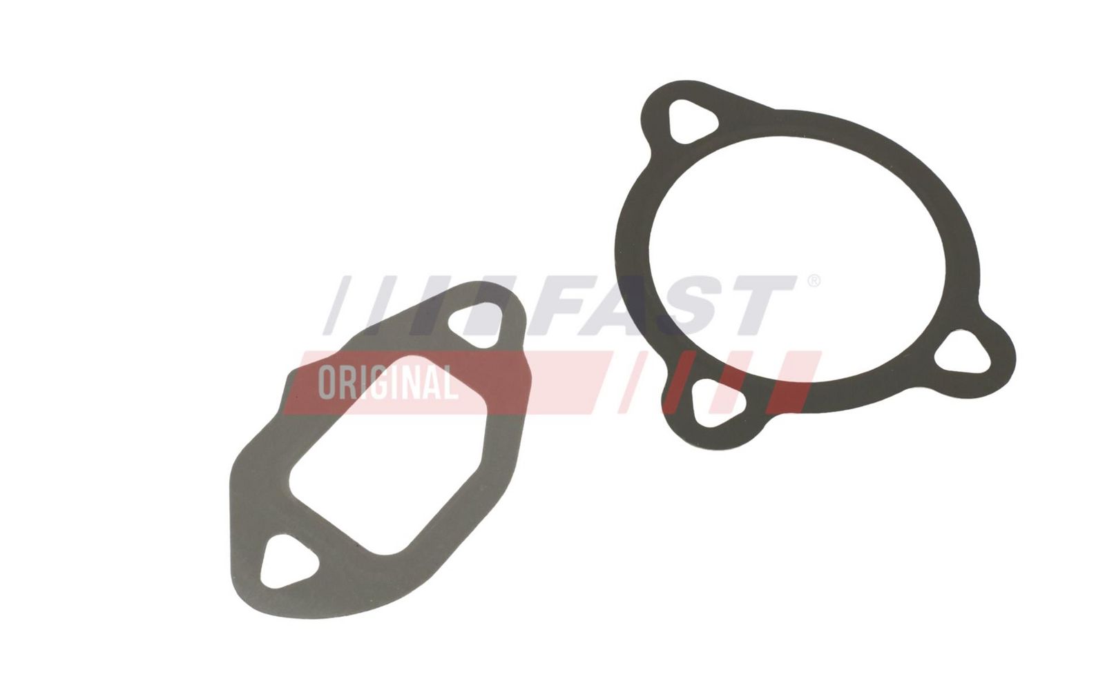 FAST FT50606 Gasket set, egr system