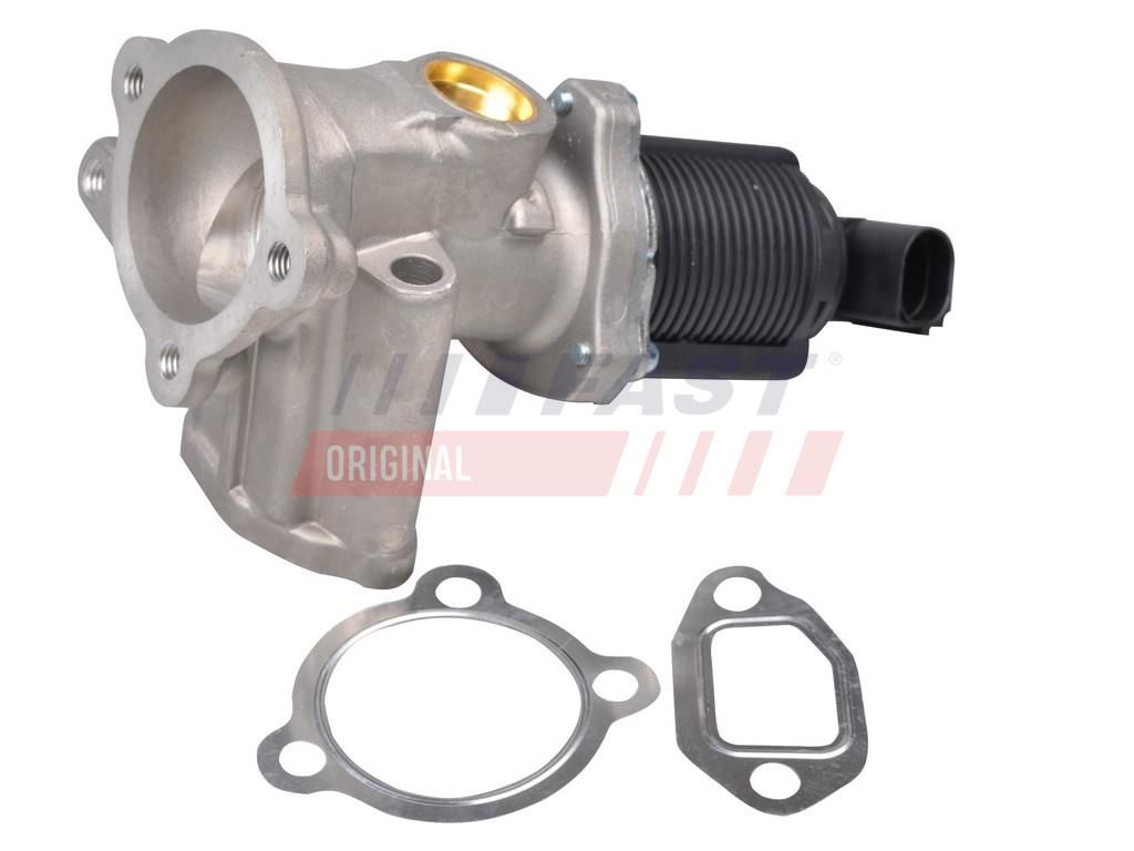 FAST FT60228 Egr valve