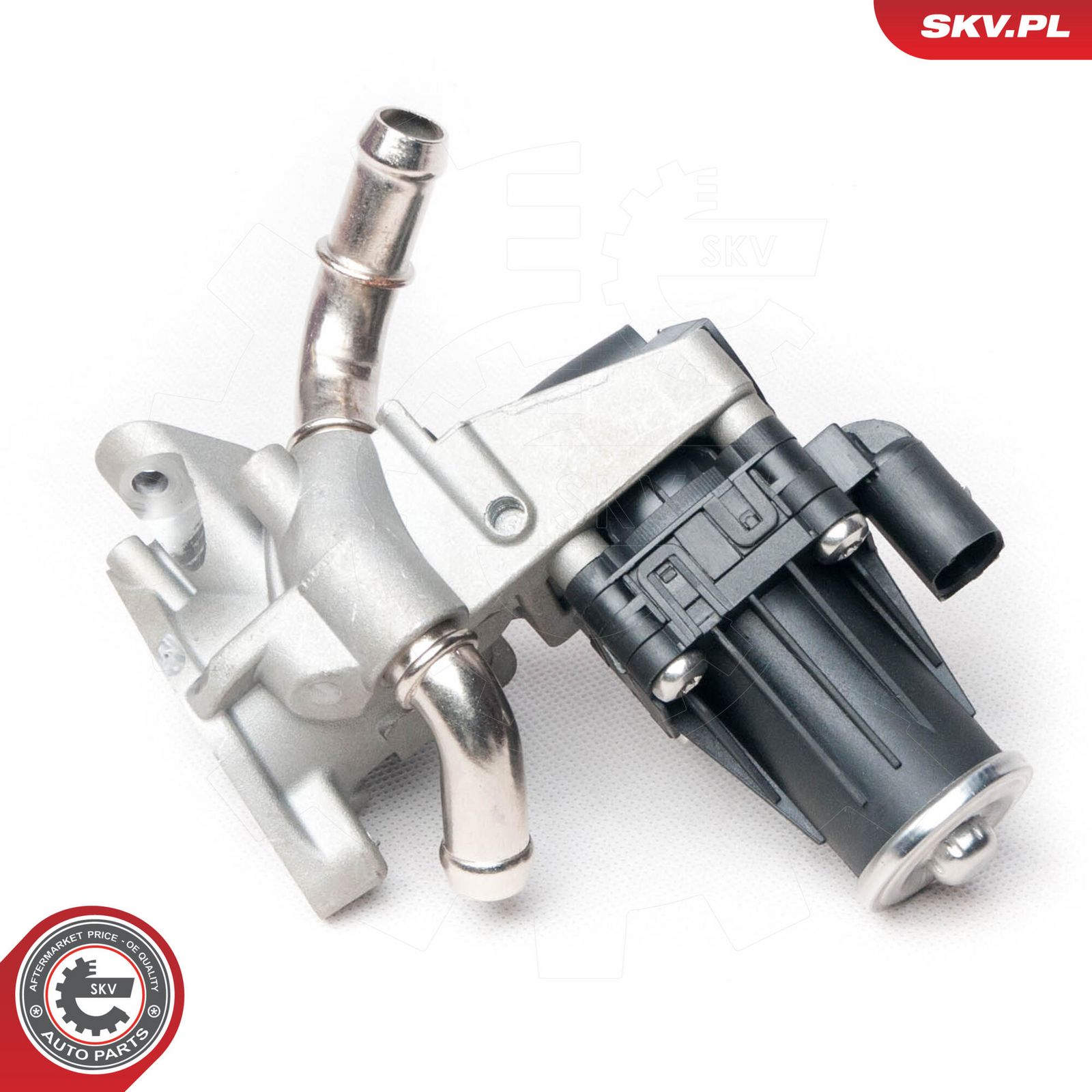 EGR Valve-1