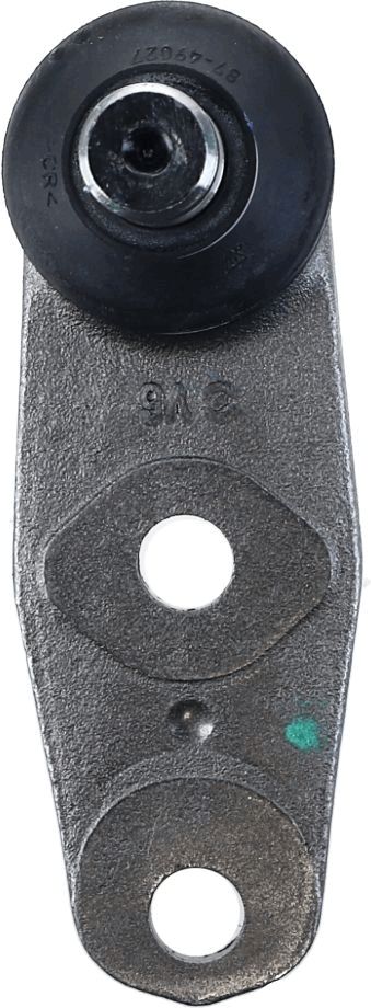 Šarnyras / girgždukas-4