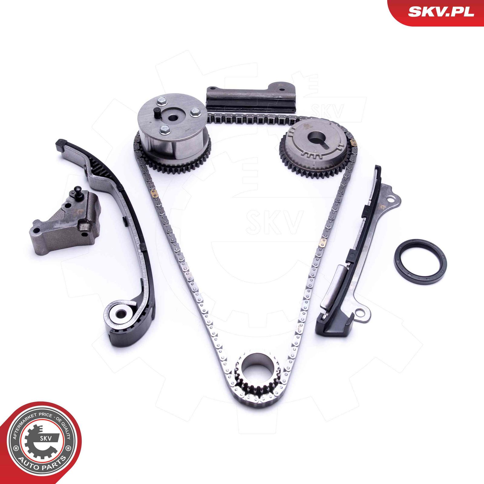 Timing Chain Kit