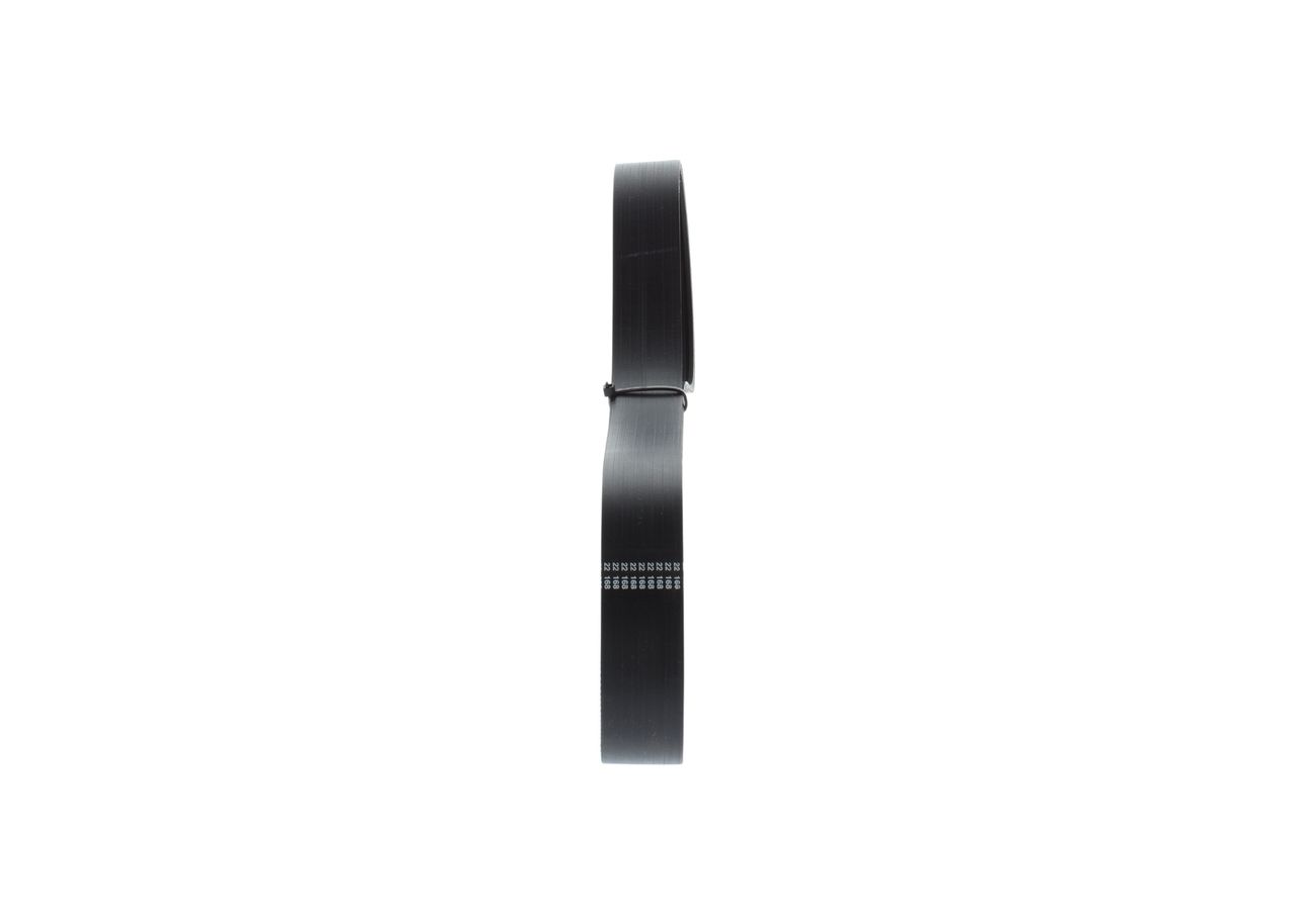 V-ribbed Belt-6