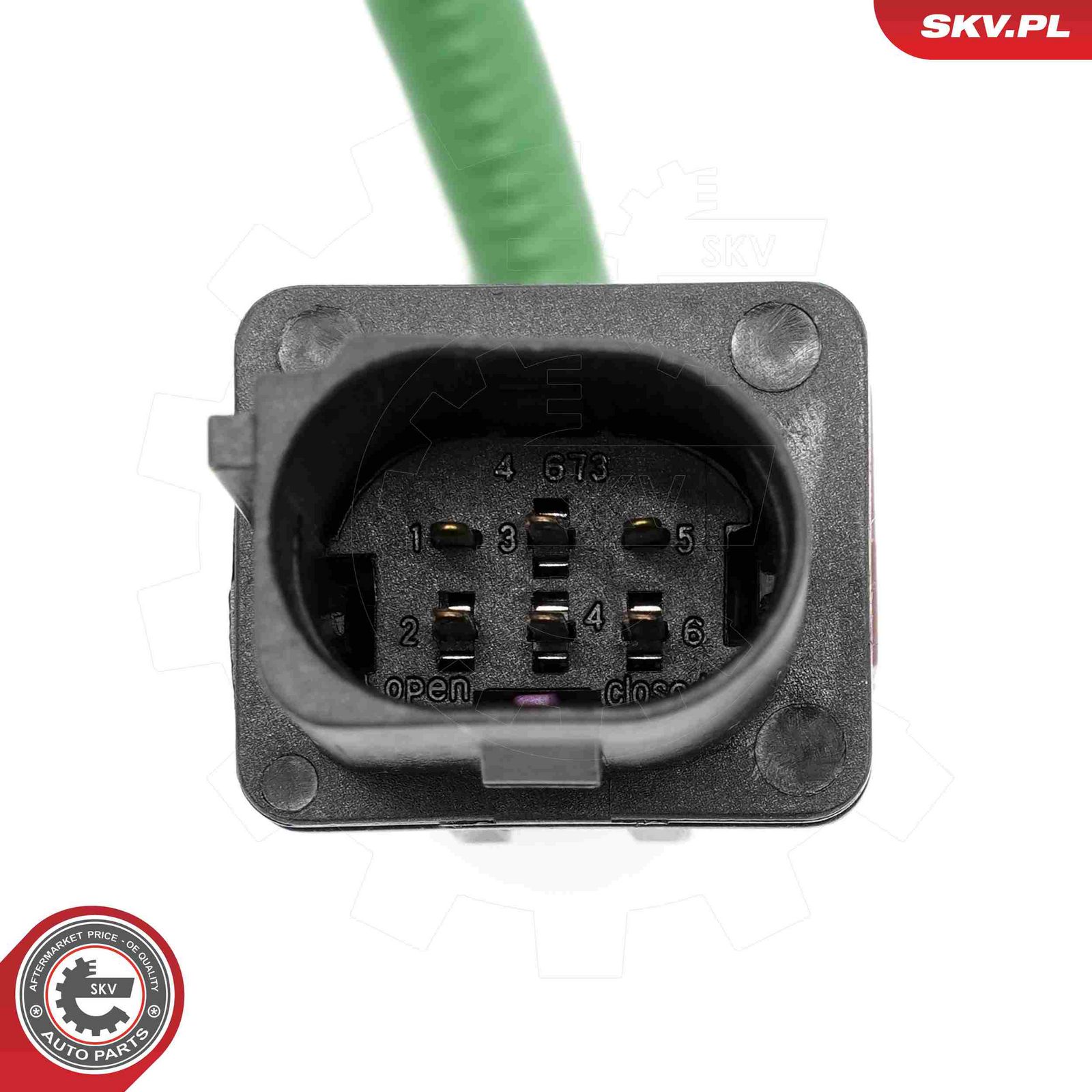 Oxygen Sensor-1