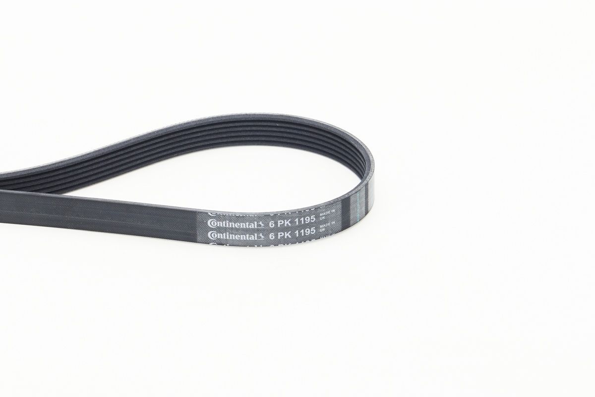CONTINENTAL CTAM 6PK1195 V-ribbed belt