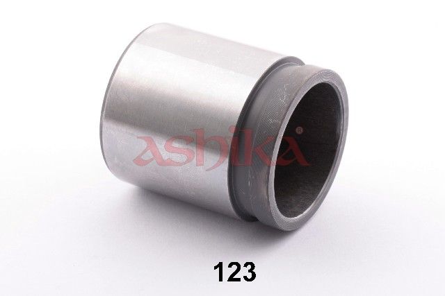 ASHIKA 133-01-123 Piston, brake caliper