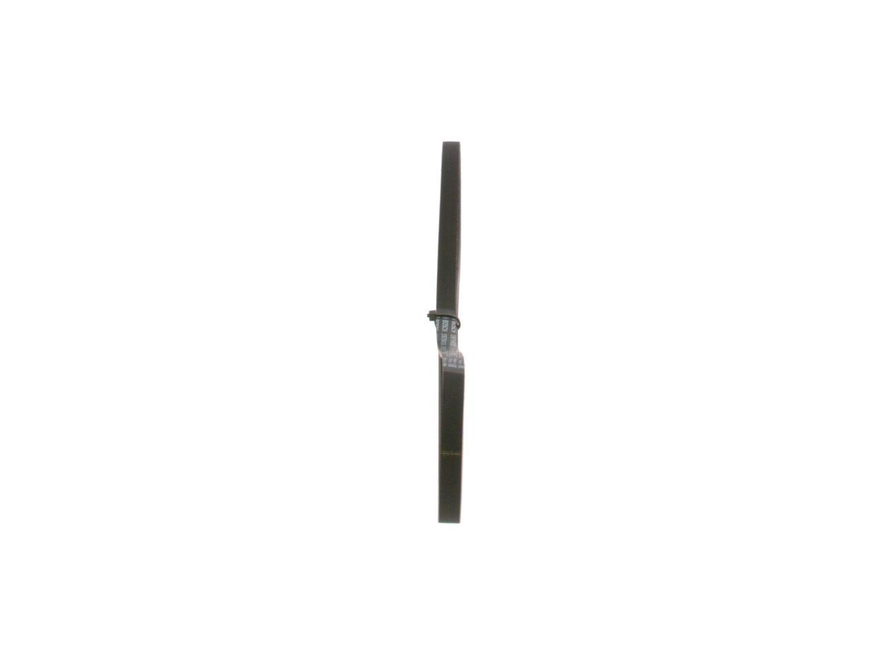 V-ribbed Belt-1